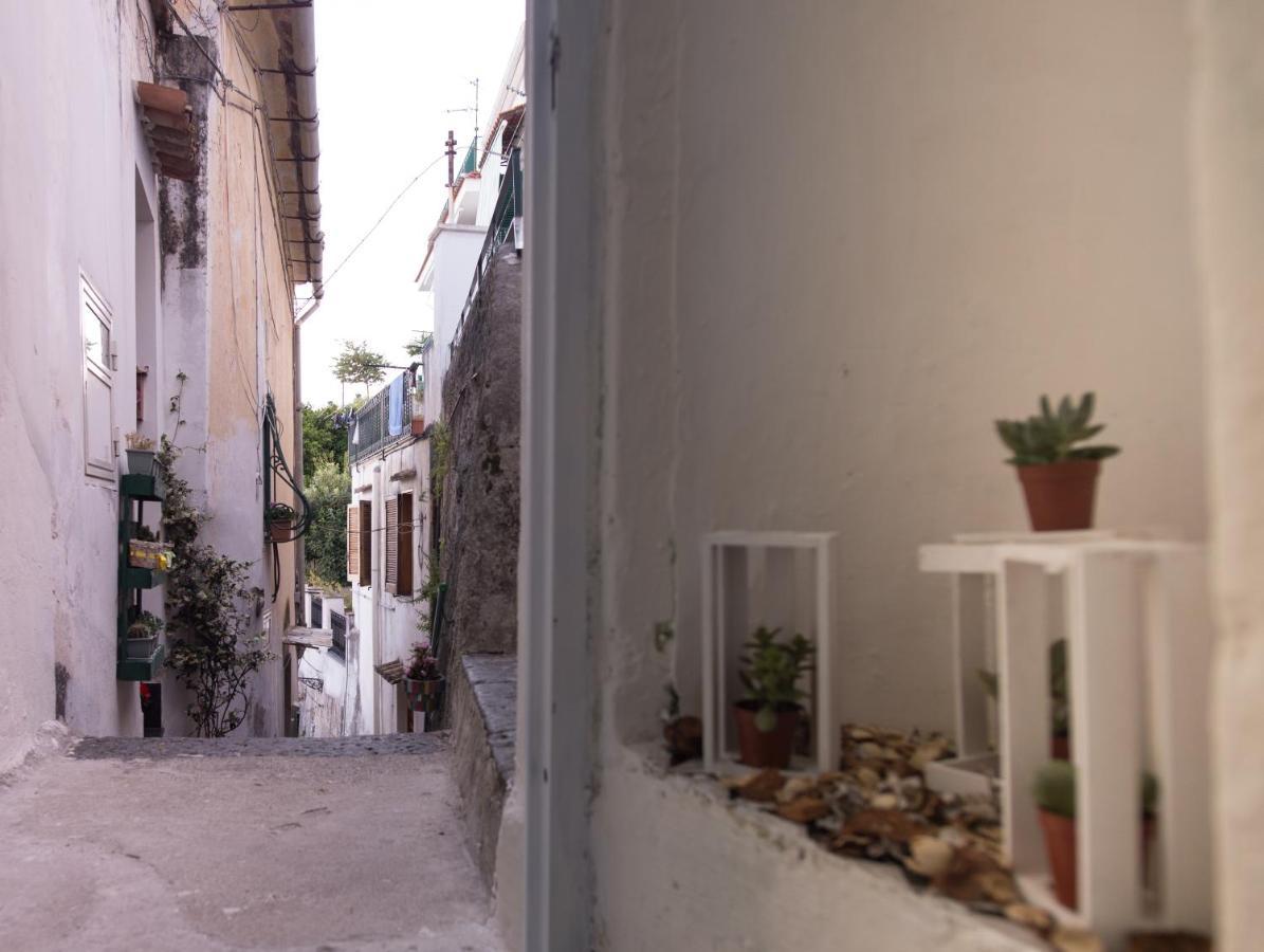 Amalfi Coast Sea View Villa Vietri Dış mekan fotoğraf